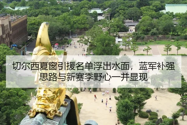 切尔西夏窗引援名单浮出水面，蓝军补强思路与新赛季野心一并显现